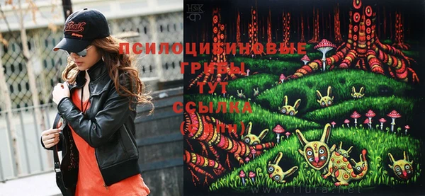 дурь Аркадак