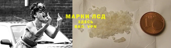 ГАЛЛЮЦИНОГЕННЫЕ ГРИБЫ Арсеньев