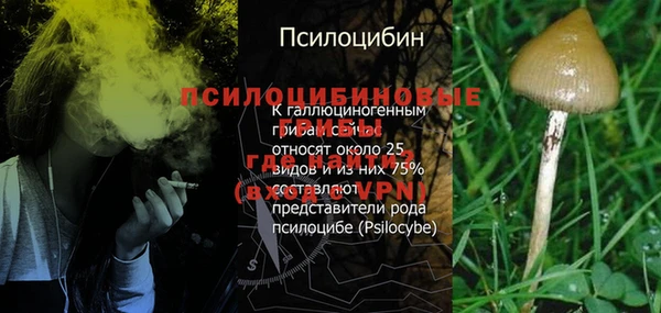 круглые Алзамай