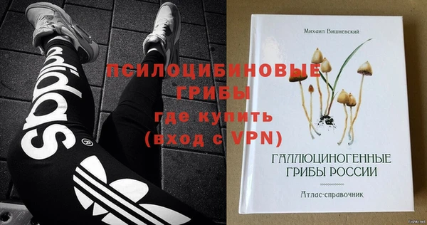 мет Алексин