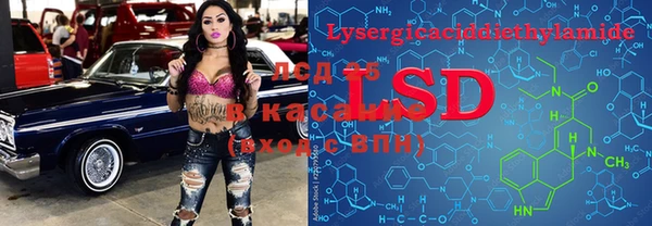 ГАЛЛЮЦИНОГЕННЫЕ ГРИБЫ Арсеньев