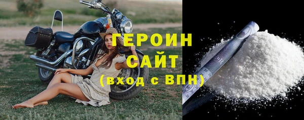 сатива Новодвинск