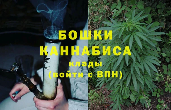 ГАЛЛЮЦИНОГЕННЫЕ ГРИБЫ Арсеньев