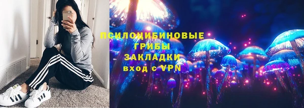 ГАЛЛЮЦИНОГЕННЫЕ ГРИБЫ Арсеньев