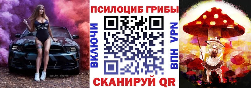 хочу   Мамоново  Псилоцибиновые грибы Psilocybine cubensis 